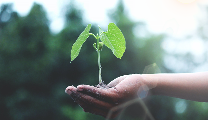 BG大游(集团)唯一官方网站
